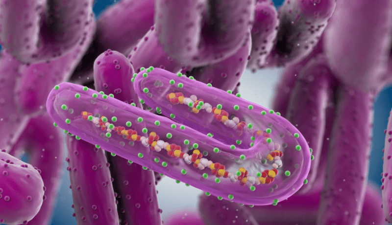 يقتل 90 بالمئة من المرضى.. كل ما تريد معرفته عن فيروس ماربورغ المرعب