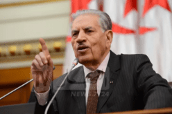 قوجيل يوجه رسالة شكر وتقدير لعناصر المنتخب الوطني للمحليين