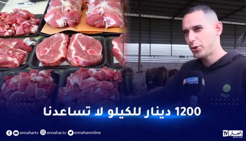 لحوم العجول المستوردة.. المربون يكشفون سعر الكيلوغرام الواحد
