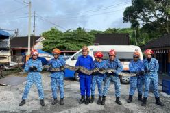 بالفيديو.. ثعابين ضخمة تغزو منزل أسرة ماليزية