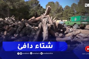 النعامة : مصالح الغابات توزع حطب التدفئة على سكان المناطق المعزولة