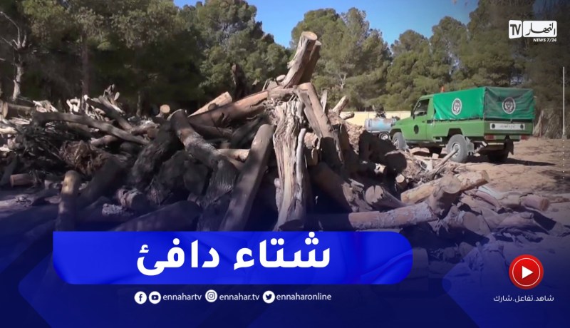 النعامة : مصالح الغابات توزع حطب التدفئة على سكان المناطق المعزولة