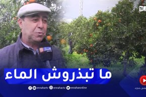 الأمطار والثلوج شبعت مخزون السقي الباطني لشعبة الحمضيات والأشجار المثمرة ببجاية