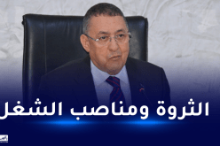وزير الداخلية يؤكد على استغلال مقومات الولايات الجنوبية لخلق ديناميكية إقتصادية