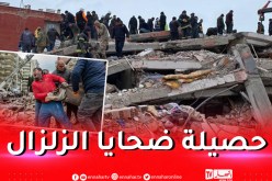زلزال تركيا وسوريا: حصيلة الوفيات تتجاوز 41 ألفًا