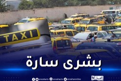 وزير النقل يكشف جديد رخص سيارات الأجرة “طاكسي “