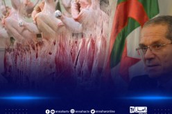 أسعار اللحوم الحمراء والبيضاء.. الوزير يوضّح ويحذر