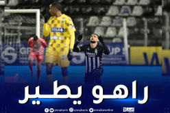 زرقان هدافا ويتجاوز رقمه الشخصي في بلجيكا