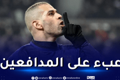 مدرب هولندي ودولي بلجيكي سابق يشيدان بقدرات سليماني