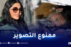 هيفاء وهبي تستجيب للنداء.. 1000 علبة حليب أطفال إلى سوريا