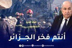 الرئيس تبون يحيي أفراد الحماية المدنية الجزائرية في تركيا وسوريا