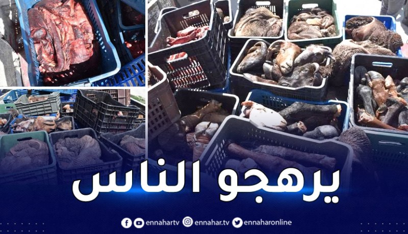 المسيلة: حجز أحشاء ورؤوس وأرجل أغنام فاسدة