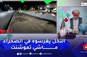 “طالع هابط: عجائب وغرائب.. ” قطعوا الشجر باش يزرعوا النخل بتموشنت