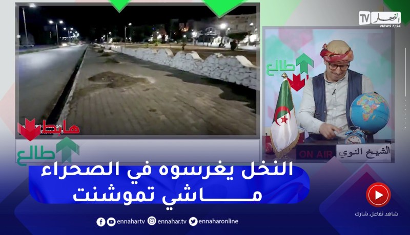 “طالع هابط: عجائب وغرائب.. ” قطعوا الشجر باش يزرعوا النخل بتموشنت