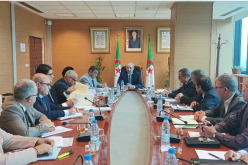وزير التجارة الجديد يصدر جملة من التعليمات لمواجهة أزمة الزيت والسميد وغلاء أسعار البصل