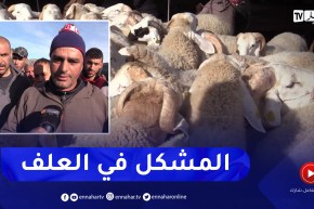 البويرة: هذه وضعية سوق المواشي عشية شهر رمضان والموالين يناشدون