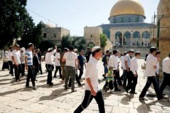 مُستوطنون يقتحمون المسجد الأقصى المبارك