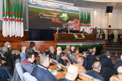 الرقمنة والسقي وتسوية العقار في صلب توصيات الجلسات الوطنية للفلاحة