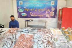 تخصيص 388 نقطة لبيع الأسماك “من المنتج إلى المستهلك” في رمضان
