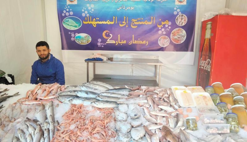 تخصيص 388 نقطة لبيع الأسماك “من المنتج إلى المستهلك” في رمضان