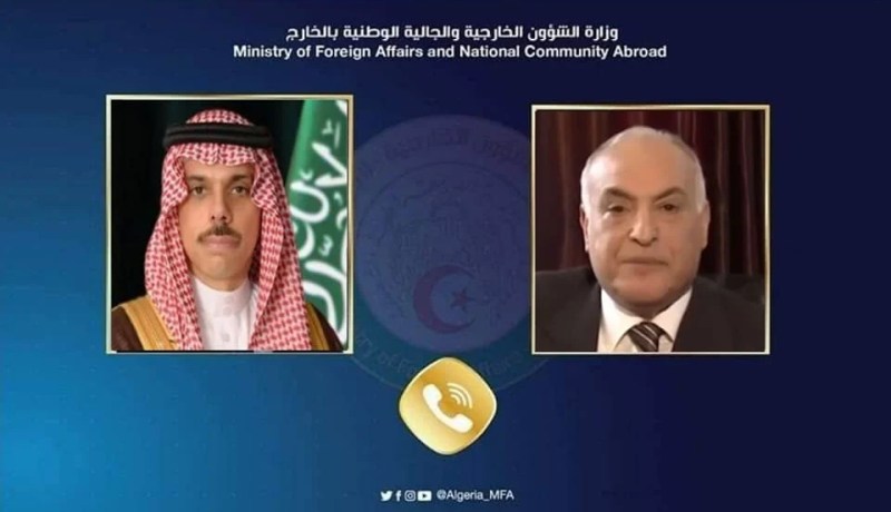 وزير الخارجية يؤكد مع نظيره السعودي على تعزيز العمل العربي المشترك
