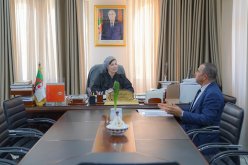 وزيرة الثقافة تتسلم المسودة الأولية لمشروع قانون الفنان