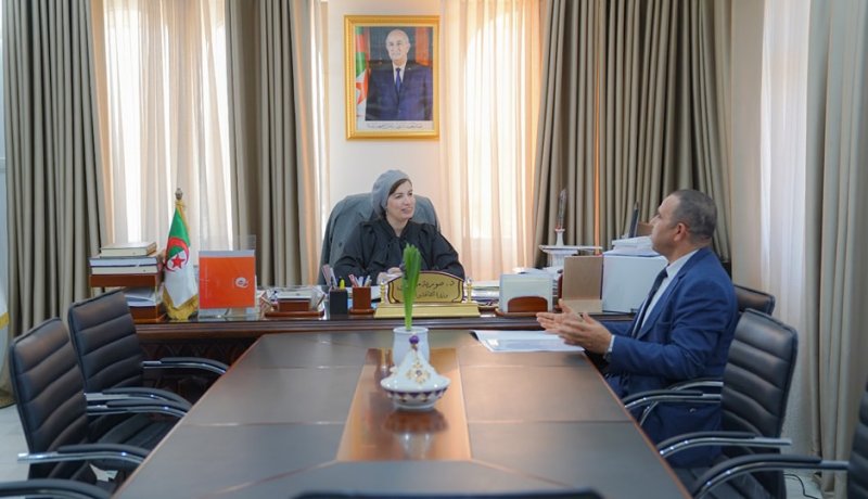 وزيرة الثقافة تتسلم المسودة الأولية لمشروع قانون الفنان