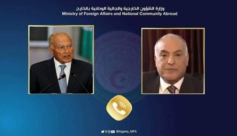 وزير الخارجية يستعرض آفاق تعزيز العمل العربي المشترك مع أبو الغيط
