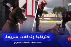 تيارت / الفرقة السينوتقنية للكلاب المدربة .. إحترافية وتدخلات سريعة في الكوارث