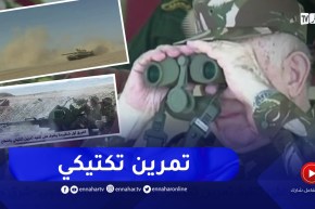 الفريق أول شنقريحة يشرف على تنفيذ تمرين تكتيكي بالقطاع العملياتي جنوب شرق جانت