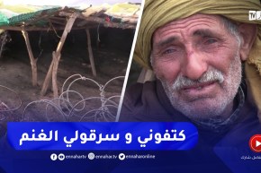 خنشلة :عصابة سرقة المواشي تسطو على ممتلكات موال وتسرق 40 رأس من الغنم