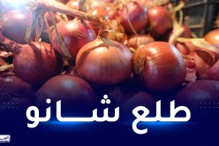 إرتفاع جنوني وغير مسبوق.. البصل بـ 180 دينار