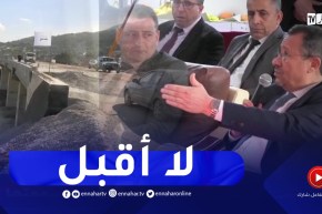 وزير الأشغال العمومية يرفض مبررات تأخر إستلام شطر منفذ طريق السيار من تقريت الى أميزور
