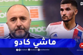 بلماضي : إستدعاء اللاعبين ماشي كادو..عوار لديه رغبة كبيرة للعب معنا