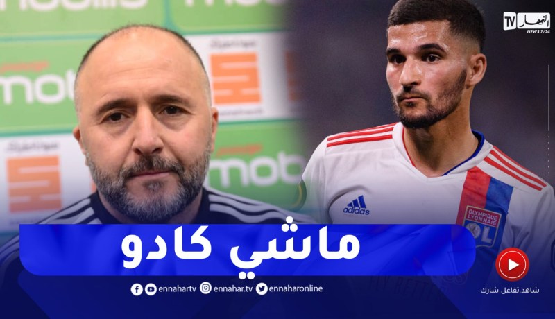 بلماضي : إستدعاء اللاعبين ماشي كادو..عوار لديه رغبة كبيرة للعب معنا