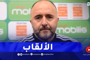 بلماضي : هذا ماعملنا عليه لإقناع مزدوجي الجنسية لتمثيل الخضر
