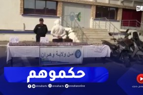 إحباط ترويج أكثر من 29 ألف قرص مهلوس بوهران