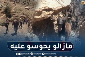 عملية البحث عن الطفل محمد متواصلة بعد اختفائه بدوار غنامة – تيسمسيلت