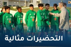 الفاف تُفند الشائعات المتداولة بشأن رمان وأشباله