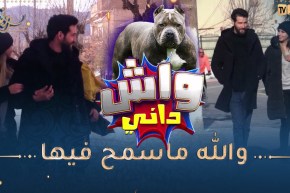 واش داني / تكون تمشي في أمان الله يخرجولك كلاب جيعانين يجرو موراك واش دير😂🤣 اللخّر مايسلكش !!