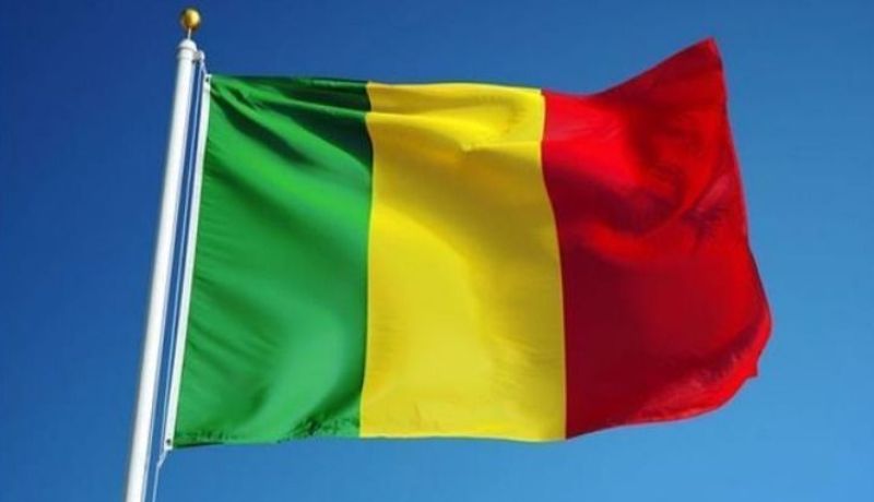 تأجيل الإستفتاء الدستوري في مالي