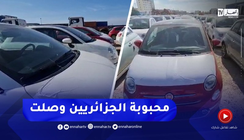 شاهد..وصول 123 سيارة فيات 500 كدفعة أولى من ميناء مستغانم