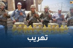 الجمارك: حجز كميات معتبرة من الوقود والمواد الإستهلاكية ببرج باجي مختار