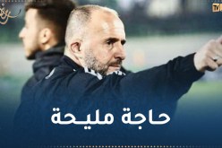 بلماضي: “أمر رائع مواجهة النيجر بحضور جماهيرنا”