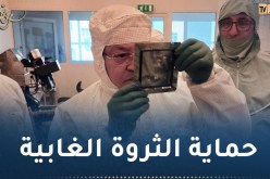 صنع جزائري.. إختراع جهاز لمراقبة وكشف الحرائق