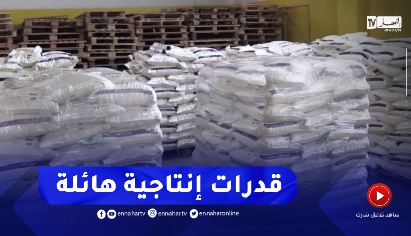 معسکر : كميات معتبرة من مادة السميد لتموين الأسواق خلال شهر رمضان