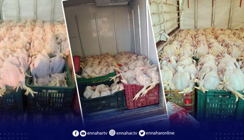 شرطة بجاية تحجز 11 قنطار من اللحوم البيضاء الفاسدة