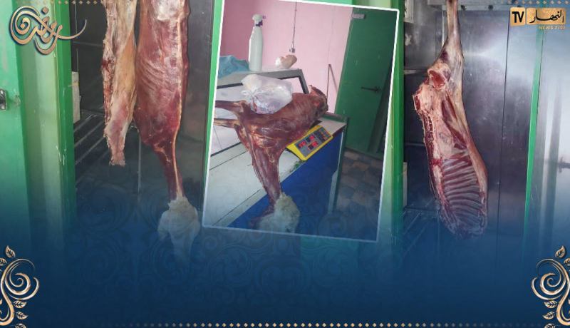 النعامة.. حجز شاة غير صالحة للإستهلاك بنقطة لبيع اللحوم بالعين الصفراء