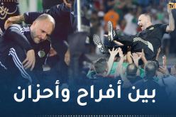 الفاف تتطرّق لمشوار بلماضي مع الخضر بعد تخطيه 50 مباراة