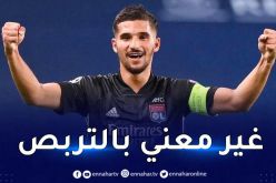 حمل قميص الخضر.. عوار يتخذ قراره النهائي